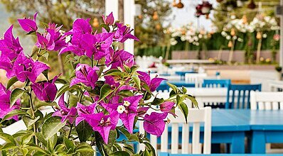 Titanic Luxury Collection Bodrum Yeme / İçme