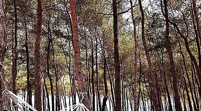 Titanic Luxury Collection Bodrum Genel Görünüm