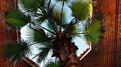 Villa Hotel Tamara Genel Görünüm