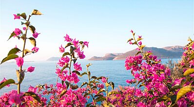 Villa Hotel Tamara Genel Görünüm