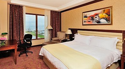 Wellborn Luxury Hotel Oda