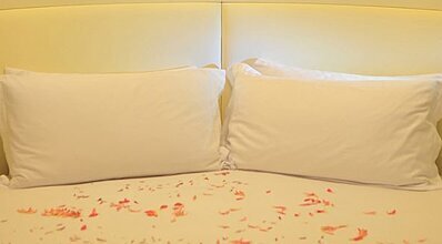 Wellborn Luxury Hotel Oda