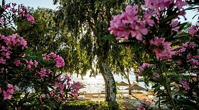 Yalıpark Beach Hotel Havuz / Deniz