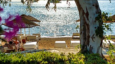 Yalıpark Beach Hotel Havuz / Deniz