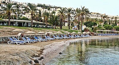 Yasmin Bodrum Resort Havuz / Deniz