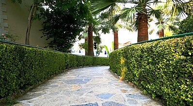 Yel Holiday Hotel Genel Görünüm