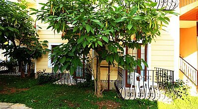 Yel Holiday Hotel Genel Görünüm