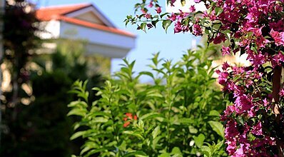 Yel Holiday Hotel Genel Görünüm