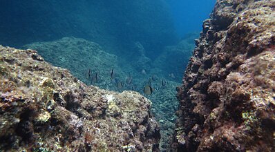 Adrasan Dalış Turu Genel