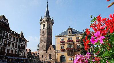 Benelux Almanya Fransa Turu Genel