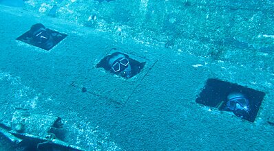 Bodrum Dalış Turu Genel