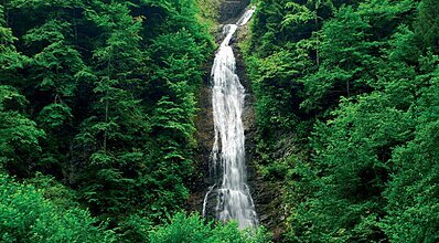 Bursa Çıkışlı Karadeniz Yaylalar ve Batum Turu Genel