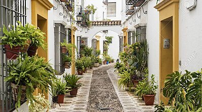 Büyük İspanya - Endülüs Turu Genel