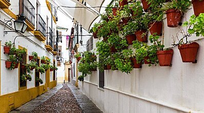 Büyük İspanya ve Endülüs Turu Genel