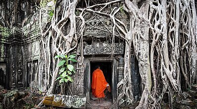 Büyük Uzakdoğu Turu Genel