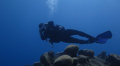 Dalyan Dalış Turu Genel