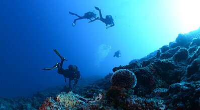 Dalyan Sarıgerme Dalış Turu Genel