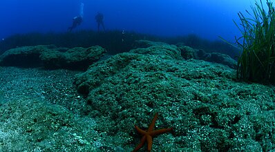 Dalyan Sarıgerme Dalış Turu Genel