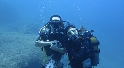 Dalyan Sarıgerme Dalış Turu Genel