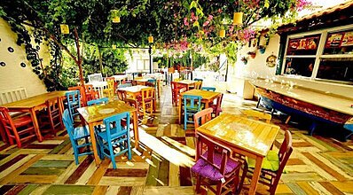 Datça Dalış Turu Genel