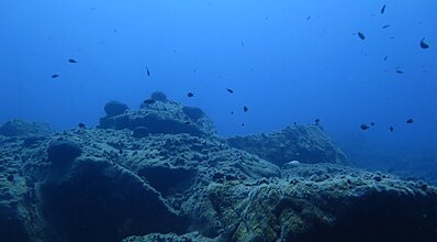 Datça Dalış Turu Genel