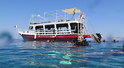 Datça Dalış Turu Genel