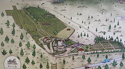 Datça Dalış Turu Genel