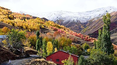 Doğu Anadolu Turu Genel