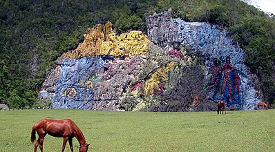 Dominik - Haiti- Küba Turu Genel