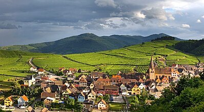 Elegant Avrupa Turu Genel