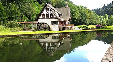 Elegant Avrupa Turu Genel