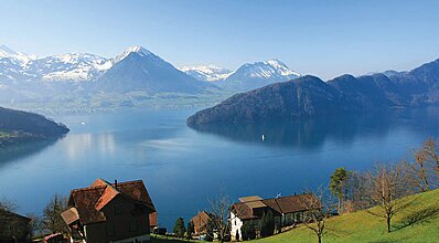 Elegant Avrupa Turu Genel