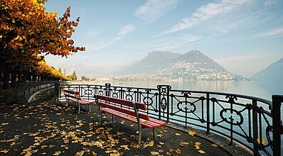 Elegant Avrupa Turu Genel