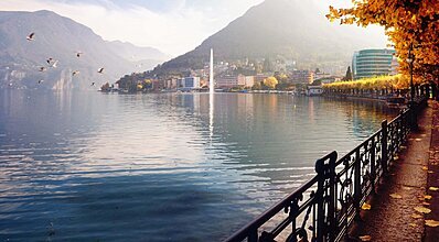 Elegant Avrupa Turu Genel