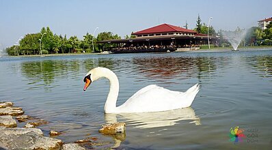 Eskişehir ve Odunpazarı Turu Genel