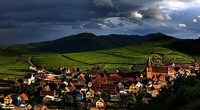 Flash Promosyon Elegant Avrupa Turu Genel