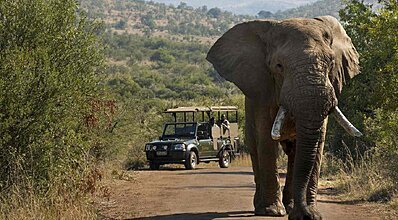 Güney Afrika & Safari Turu Genel