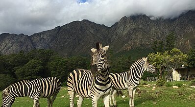 Güney Afrika Turu THY ile Genel