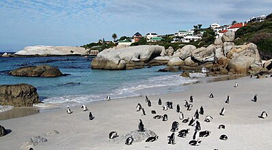 Güney Afrika Turu THY ile Genel