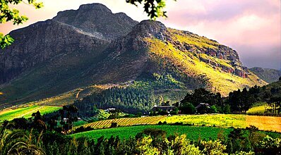 Güney Afrika Turu THY ile Genel