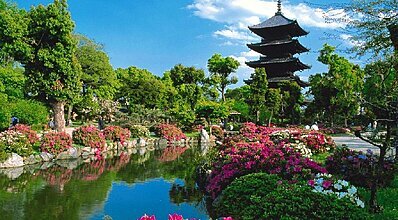 Güney Kore - Japonya - Tayvan - Hong Kong Turu Genel