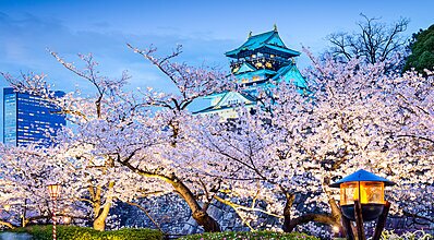 Güney Kore - Japonya - Tayvan - Hong Kong Turu Genel