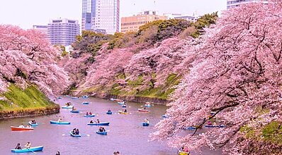 Güney Kore - Japonya - Tayvan - Hong Kong Turu Genel
