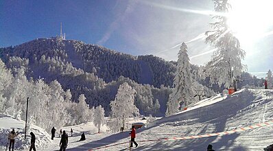 Günübirlik Kartepe Turu Genel