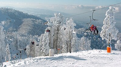 Günübirlik Kartepe Turu Genel