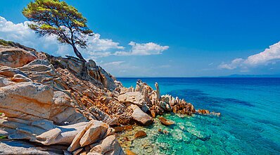 Halkidiki Selanik Thassos Turu﻿ Genel