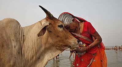 Hindistan Holi Festivali Turu Genel
