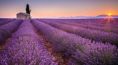 İzmir Çıkışlı Pamukkale - Salda Gölü ve Lavanta Bahçeleri Turu Genel