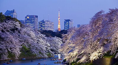 Japonya Kore Turu Genel