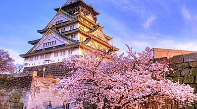 Japonya Kore Turu Genel